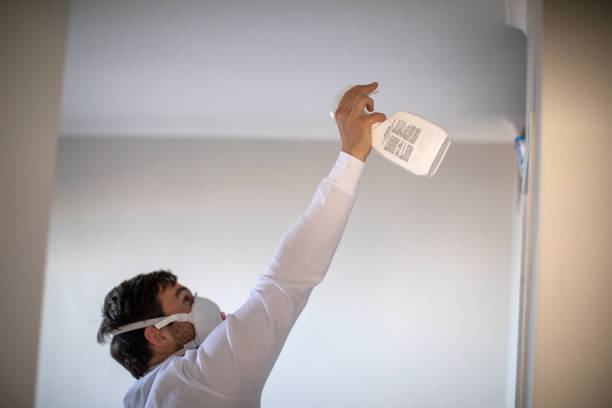Best Best Mold Removal Companies  in Fort Stewart, GA