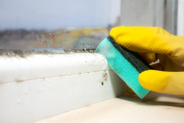 Crawl Space Mold Removal in Fort Stewart, GA