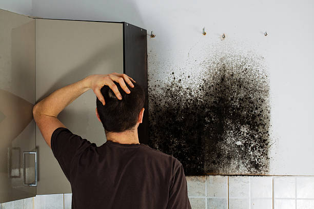 Best Water Damage Restoration  in Fort Stewart, GA